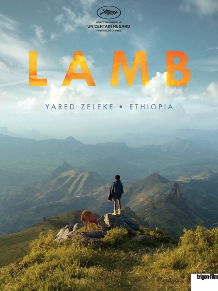 LAMB