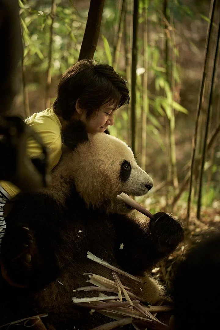 MOON LE PANDA