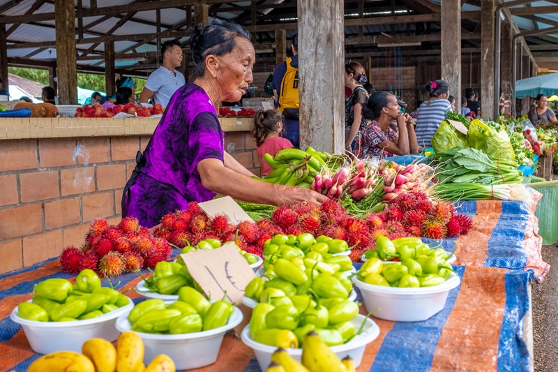 GUYANE, UNE PÉPITE EN AMAZONIE
