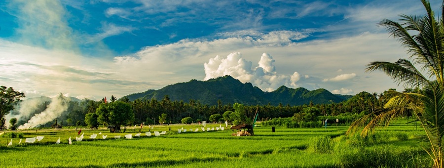 BALI L'ÎLE DES DIEUX